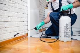 Best Real Estate Pest Inspections  in Vinita Park, MO